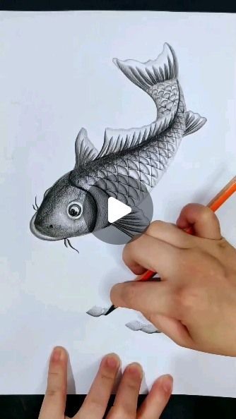 🌹 Luxury_Home_X2L 🌹 on Instagram: "ART sketch with pencil fish ❤️❤️ #art #instagood #instagram #viral #newsong" Fish Sketch Drawing, Sketch With Pencil, Pond Drawing, Fish Sketch, Fish Drawing, Fish Drawings, Fish Art, Instagram Art, Art Sketch