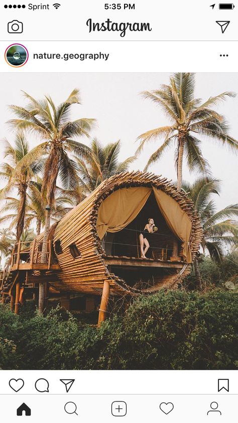 Tree houses, Mexico Magical Treehouse, Great Vacation Spots, Treehouse Hotel, Bamboo House Design, Beachfront House, Bamboo Architecture, Cool Tree Houses, Tree House Designs, Vacation Goals