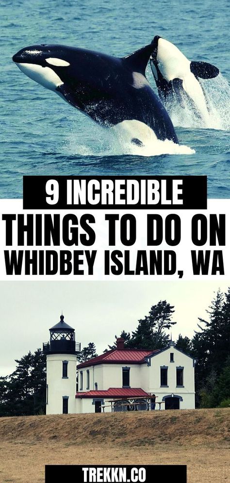 Whidbey Island Washington, Pacific Northwest Travel, Washington State Travel, Washington Travel, San Juan Island, Hiking Photography, Adventure Inspiration, Whidbey Island, Pacific Nw