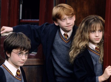 Daniel Radcliffe Will Read 'Harry Potter' To Your Kids At Home. Here's How. Hermione Granger Kids, Harry Potter Trio, Ron E Hermione, Ron Y Hermione, Film Harry Potter, Robbie Coltrane, Harry Potte, Freddie Highmore, Harry Potter Hermione Granger