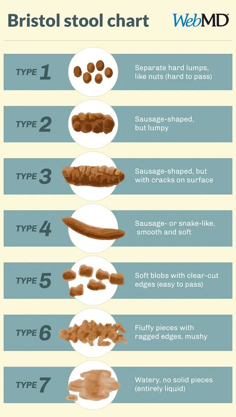 Stool Health Charts, Poop Chart Meaning, Poo Chart, Stool Color Chart, Bristol Stool, Stool Chart, Bristol Stool Chart, Ibs Diet, Health Chart