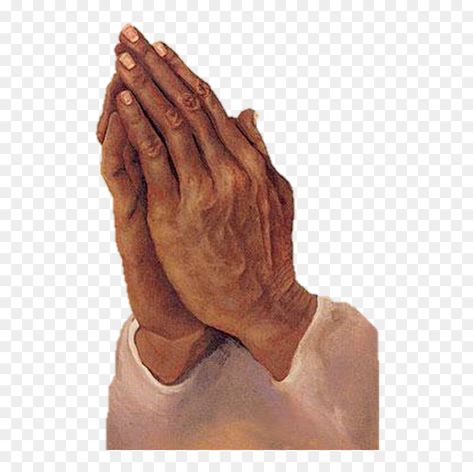 Bible Png Aesthetic, Praying Hands Aesthetic, Praying Hands Reference, Hand Praying, Praying Art, Praying Hands Images, Praying Hands Clipart, Scrapbook Edit, Hands Praying