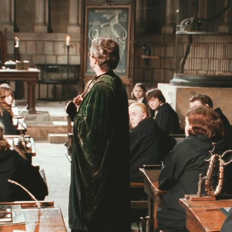 Harry Potter Professors Aesthetic, Harry Potter Transfiguration Aesthetic, Hogwarts Transfiguration Classroom, Transfiguration Class Aesthetic, Hogwarts Classes Aesthetic, Hogwarts Teacher Aesthetic, Harry Potter And The Chamber Of Secrets Aesthetic, Transfiguration Aesthetic, The Chamber Of Secrets Aesthetic