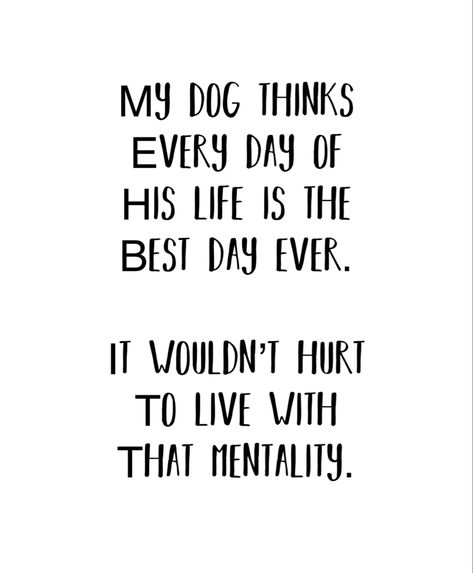 Reactive Dog Quotes, Happy Dog Quotes, Funny Dog Quotes, Dog Mom Quotes, Puppy Quotes, Dog Quotes Love, Dog Quotes Funny, Animal Quotes, Dog Quotes