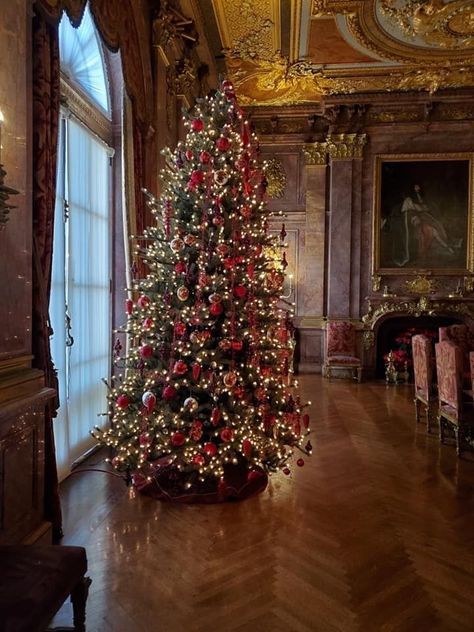 Old Money Christmas Tree, Money Christmas Tree, Old Money Christmas, Golden Christmas Tree, Holiday Wine Label, Christmas Lockscreen, Castle Interior, French Castle, Wall Workout