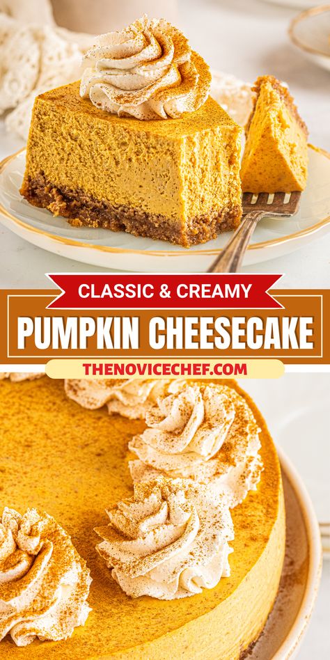 Looking for the perfect fall dessert? This rich, creamy Pumpkin Cheesecake is a time-tested favorite. With real pumpkin, warm spices, and a buttery cinnamon graham cracker crust, it's a little slice of heaven! Plain Desserts, Best Pumpkin Cheesecake Recipe, Best Pumpkin Cheesecake, Cinnamon Graham Cracker Crust, Layered Cheesecake, Cheesecake Pumpkin, Cheesecake Easy, Heavenly Desserts, Homemade Graham Cracker Crust