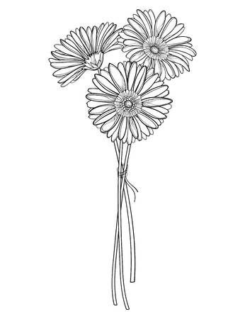 Gerber Daisies Tattoo, Gerber Daisy Tattoo Designs, Daisies Line Art, Aster Flower Bouquet Tattoo, Gerbera Daisies Tattoo, Gerber Daisy Bouquet Tattoo, Gerber Daisy Tattoos, Gerbera Daisy Tattoo Designs, Aster Flower Outline