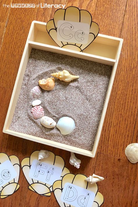 Shells Preschool Activities, Ocean Centers Preschool, Under The Sea Kindergarten Activities, Ocean Literacy Activities, Sea Kindergarten, Sea Animals Preschool, Ocean Activities Preschool, Sensory Writing, Ocean Alphabet