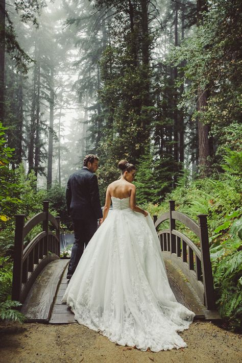 wooded forest wedding Stunning Wedding Dresses, Photo Couple, Jolie Photo, Tampa Florida, Wedding Wishes, Forest Wedding, A Bridge, 인물 사진, Wedding Pics