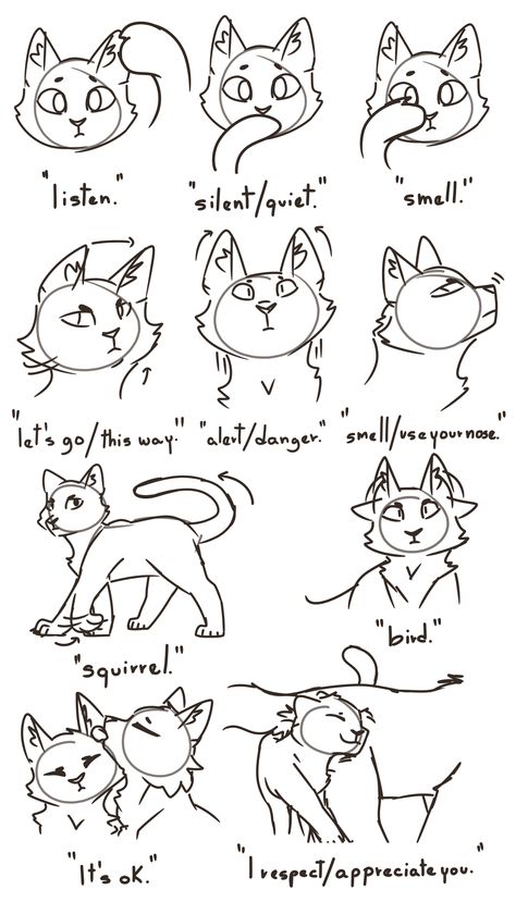 Warrior Cats Drawing, Warrior Cats Funny, Warrior Cat Memes, Warrior Cats Comics, Cat Drawing Tutorial, Warrior Cats Books, Cat Anatomy, Warrior Cats Fan Art, Cat Language