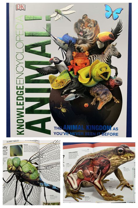 Knowledge Encyclopedia Animals. Filled with incredible pictures and lots of facts.  The ultimate animal books for slightly older kids Animal Book Cover, Animal Encyclopedia, Book For Christmas, Dk Books, Animal Magazines, Incredible Pictures, Tropical Animals, Animal Book, Magazines For Kids