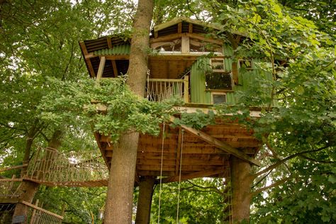 LL11 3BG Outdoor Glamping, Mountain Biking Trails, Beautiful Tree Houses, Canopy And Stars, Treehouse Hotel, The Moors, Mountain Bike Trails, Go Outdoors, Wood Burning Stove