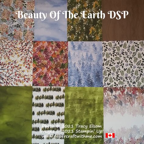 Su Beauty Of The Earth Dsp, Stampin Up Beauty Of The Earth Dsp, Stampin Up Beauty Of The Earth, Beauty Of The Earth Dsp, Beauty Suite, Dsp Cards, Tree Lover, Designer Series Paper, Stamp Crafts