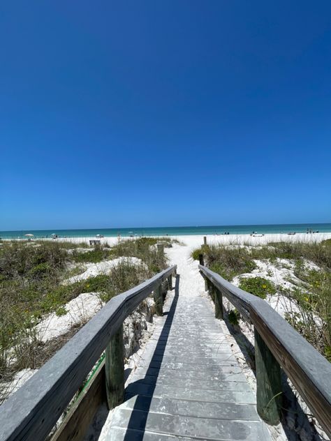 Saint Pete Beach Florida, Sewer Rat, St Pete Beach, Florida Beaches, Beach Florida, Railroad Tracks, Tampa, Florida, Water