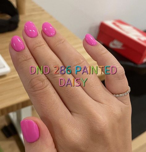 Dnd Painted Daisy, Dnd Gel Polish Colors Spring 2024, Dnd Gel Polish Colors Spring, Dnd Summer Colors 2024, Dnd Gel Polish Colors Summer, Nail Dip Colors, Dnd Colors, Nail Colors Ideas, Dnd Gel Nail Polish