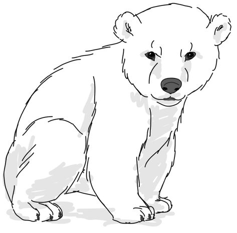 Cute and easy polar bear drawing Polar Bear Drawing Easy, Polar Bear Sketch, Polar Bear Coloring Page, Polar Bear Drawing, Bear Sketch, Carnival Posters, Bear Drawing, Cute Polar Bear, Bear Coloring Pages