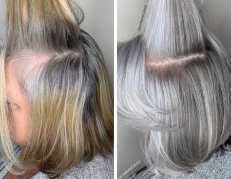 Silver Hair Transition, Fox Goddess, Silver Fox Hair, Silver Hair Dye, Grey Hair Transformation, Hair Decor, Hair Transition, Hair 2022, Going Grey