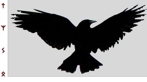 Crow Tattoo Design, Wing Tattoo Designs, Open Wings, Crow Tattoo, A Crow, Art And Literature, Symbol Tattoos, Bainbridge Island, Wings Tattoo