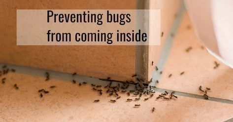 Pest Control Tips: 13 Secrets to Bug Proof Your Home Like a Pro How To Bug Proof Your House, Bug Proof Home, Fix Leaky Faucet, House Bugs, Ant Problem, Pest Prevention, Leaky Faucet, Homemade Cleaning, Mosquito Bite