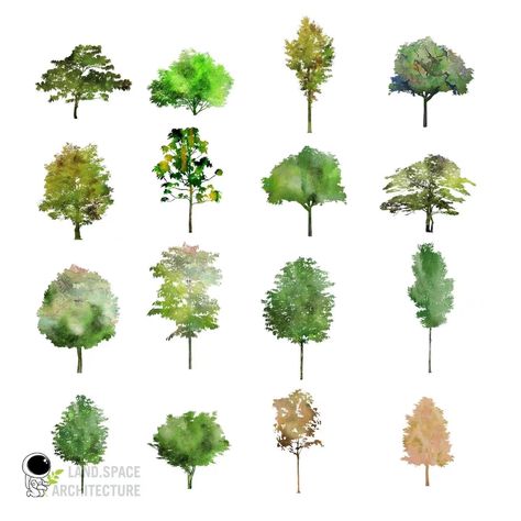 Png Plants, Photoshop Landscape, Photoshop Rendering, Tree Clipart, Vector Trees, Watercolor Png, Watercolor Tree, Landscape Design Plans, 수채화 그림