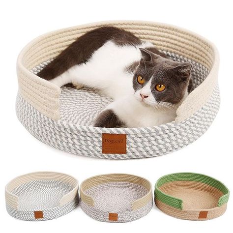 Health Supplies to Keep Your Dog's Tail High Pets Supplies, Modern Cat Bed, Basket Dog Bed, Puzzle Boxes, Pet Beds Cat, Small Kittens, Cat Basket, Sleeping Bed, Tick Prevention