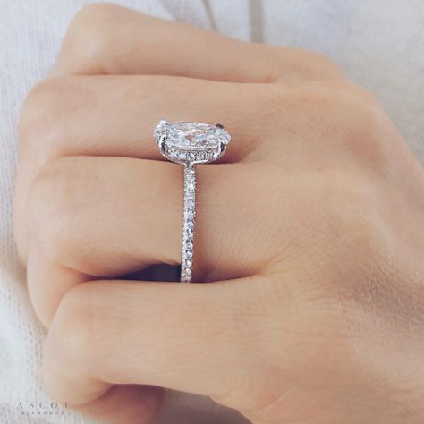 Best Engagement Rings in Atlanta – Ascot Diamonds Low Profile Engagement Ring Solitaire, 3 Ct Engagement Ring Round, Ascot Diamonds, Oval Diamond Solitaire, Classic Romance, Solitaire Diamond Ring, Oval Engagement Ring, Solitaire Rings, Engagement Ring Rose Gold