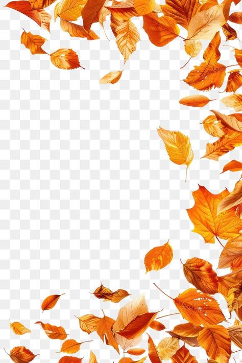 Fall Leaves Aesthetic, Leaves Blowing In The Wind, Petals Falling, Fall Leaves Png, Flowers Border, Free To Use Images, Leaves Autumn, Autumn Flowers, Png Text