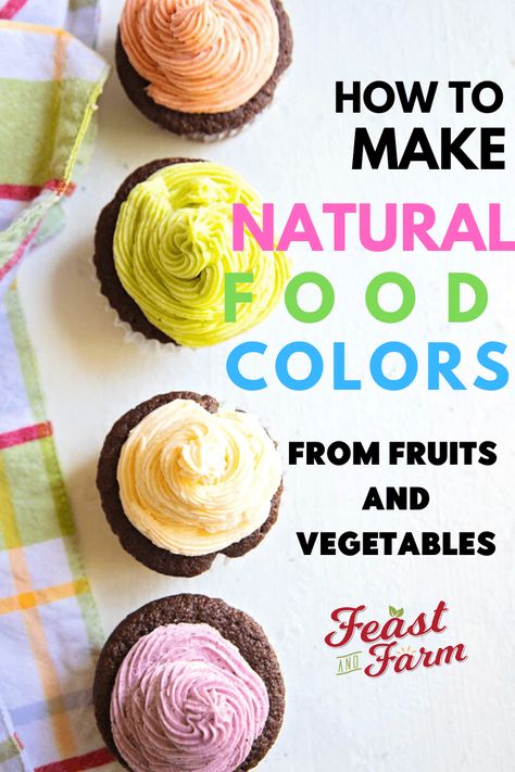 Enjoy your colored cake and eat it too with natural food coloring made with the easiest freeze dried fruits and vegetables without boiling, reducing or concentrating any spinach or beets. Truly easy! #naturalfoodcolor Dye Free Foods, Natural Food Dye, Vegan Ice Cream Recipe, Freeze Dried Fruit, Natural Food Coloring, Natural Dog Food, Freeze Dried Strawberries, Food Dye, Dried Strawberries