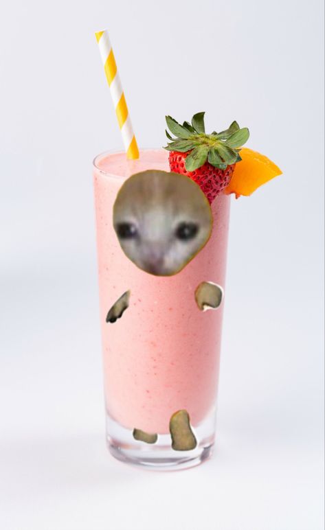 Smoothie Cat, Iced Americano, Cat Drinking, Mood Pics, Smoothie, Planter Pots, Drinks, Quick Saves