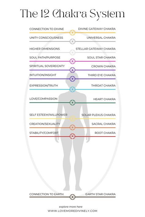 What is a Chakra? A Deep Dive into the 12-Chakra System and How it Sha - LITTLEMISSDESSA 12 Chakra System, Soul Star Chakra, Body Diagram, Energy Centers, Chakra System, Spiritual Wellness, Solar Plexus Chakra, Sacral Chakra, Third Eye Chakra