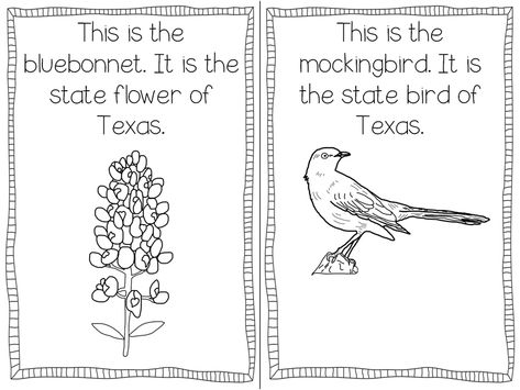 Texas Symbols Freebie | Teaching With Haley O'Connor Texas Symbols First Grade, All About Texas Preschool, Texas Theme Preschool Activities, Texas Crafts Preschool, Texas Crafts For Kids, Texas Symbols Kindergarten, Texas Symbols, Texas Crafts, Texas Theme