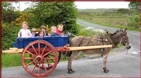 Donkey and cart (460×254) Donkey Cart, Mini Donkey, Pull Cart, Shepherds Hut, Horse Carriage, Donkeys, Historical Costume, Simple Life, Farm Life