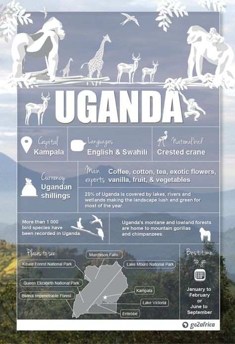 Africa Infographic, Travel Packing Lists, Uganda Africa, Uganda Travel, Country Information, Chobe National Park, Gorilla Trekking, African Travel, Packing Lists