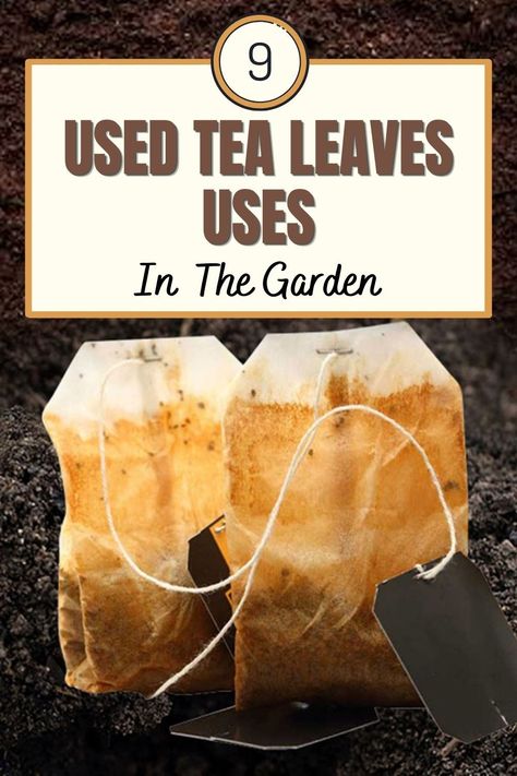 So, after enjoying a morning or afternoon cup of tea, most of you probably toss the wet, soggy bag of steeped tea leaves in the garbage. Well, as it turns out, there’s actually another great use for them that can also help your garden – bury them! Tea Bags For Plants, Uses For Used Tea Bags, Tea Fertilizer, Leaf Compost, Diy Fertilizer, Composting 101, Used Tea Bags, Garden Remedies, Plant Benefits