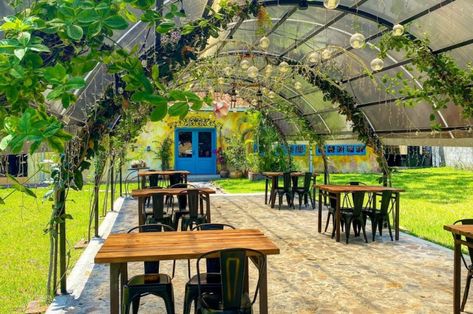 6 restaurantes al aire libre para llevar a comer a mamá en su día Picnic Restaurant, San Pedro Sula, Tegucigalpa, Outdoor Food, Rustic Outdoor, Food Court, San Pedro, Las Vegas, Florida