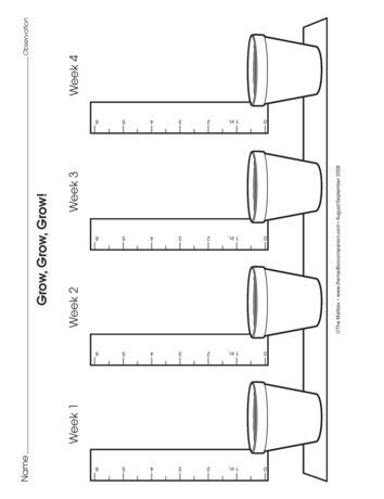 Plant Growth Chart, Plants Kindergarten, Plants Worksheets, Preschool Garden, Measurement Worksheets, Plants Unit, 1st Grade Science, Plant Journal, Science Activities For Kids