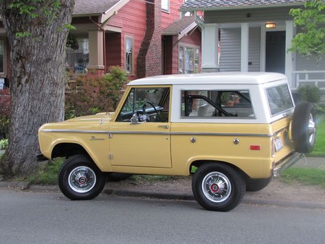 Bronco Ford, Classic Bronco, Early Bronco, Classic Jeeps, Ford Suv, Classic Ford Broncos, Ford Broncos, Ford Lincoln Mercury, Car Shows