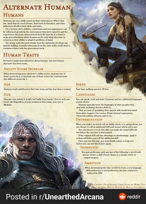 Variant Human (Alternate Human) Dnd Staff, Dnd 5e Races, 5e Races, Species Guide, Dungeons And Dragons Races, D D Races, Dnd Stats, Dnd Homebrew, Dnd Items