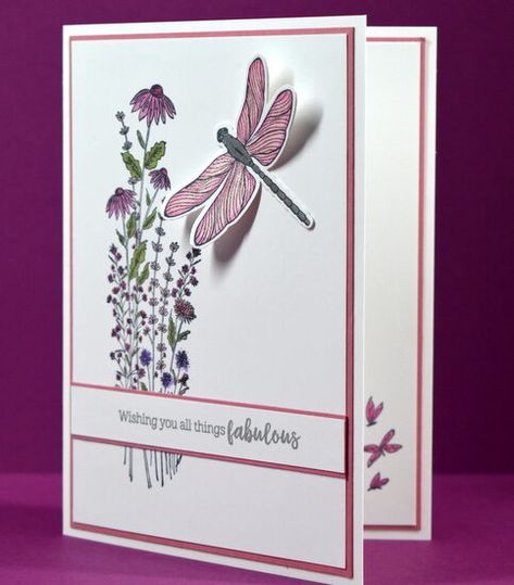 Dragon Fly Cards, Dragonfly Birthday, Dainty Delight, Dragonfly Cards, Dragonfly Garden, Flowers Cards, Everyday Cards, Dainty Flowers, Dragon Flies