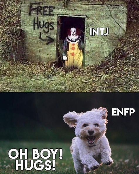 Enfp Istj, Enfp Intj, Personalidad Enfp, Intj Enfp, Enfp Relationships, Creepy People, Mbti Test, Enfp Personality, Intj T