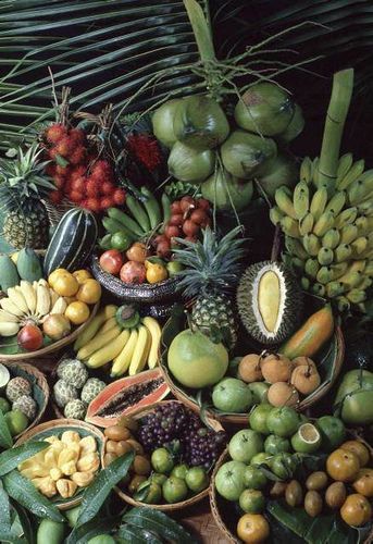 exotic fruit - coconut, banana, mangoes, papaya...etc, etc, etc... Different Fruits, Beautiful Fruits, Alkaline Foods, Exotic Fruit, Flowers Wallpaper, Fresh Fruits And Vegetables, Tropical Fruits, Tropical Fruit, Fruit And Veg