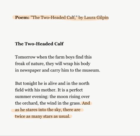 Twice As Many Stars, Laura Gilpin, Two Headed Calf, Poems About Stars, Poet Quotes, He Is Alive, Heavy Heart, Cool Writing, Inspire Me