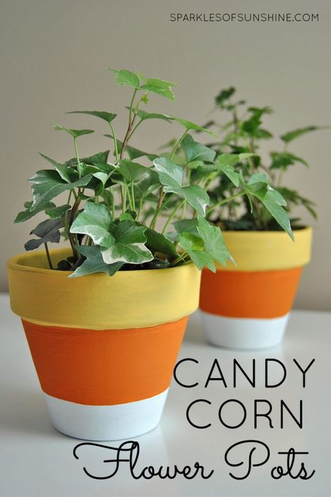 Candy Corn Painted Flower Pots - Sparkles of Sunshine Candy Corn Flower Pot, Painted Clay Pots For Fall, Painted Pots Simple, Halloween Flower Pots Diy, Halloween Flower Pot Ideas, Fall Painted Pots, Halloween Painted Pots, Halloween Flower Pots, Spooky Flowers