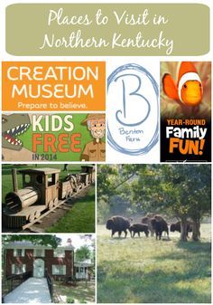 Visiting Northern Kentucky?  Here is a list several popular activities that are either free or reasonably priced in the area. Kentucky Louisville, Newport Ky, Kentucky Attractions, Kentucky Vacation, Family Traveling, Kentucky Travel, Staycation Ideas, Camping Set Up, Family Vacation Ideas