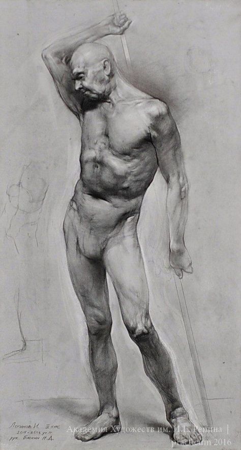 Figure Drawing Practice, Croquis Drawing, Anatomy Sculpture, Human Figure Sketches, Human Anatomy Drawing, Drawing Examples, Master Drawing, Human Figure Drawing, Human Anatomy Art