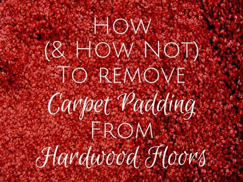 Refinish Wood Trim, Cleaning Hardwood Floors, Carpet Removal, How To Remove Carpet, Cheap Hardwood Floors, Remove Carpet, Removing Carpet, Hardwood Floor Cleaner, Cleaning Painted Walls