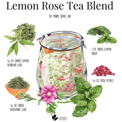 Lemon Verbena Recipes, Lemon Verbena Tea, Tea Blends Recipes, Lemon Balm Tea, Medicinal Herbs Garden, Medicinal Tea, Healing Tea, Homemade Tea, Herbal Teas Recipes