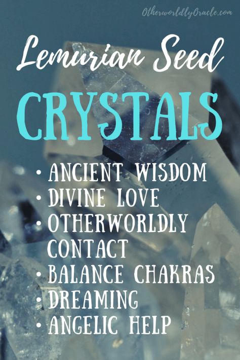 Crystal Seashells, Lemurian Crystal, Lemurian Quartz, Spiritual Crystals, Crystal Therapy, Meditation Crystals, Crystal Healing Stones, Crystal Magic, Practical Magic