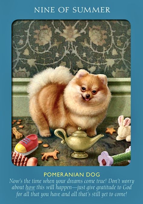 Animal Tarot Cards, Radleigh Valentine, Animal Tarot, Angel Tarot Cards, Angel Tarot, Angel Oracle Cards, Angel Guide, Animal Guides, Wish Upon A Star