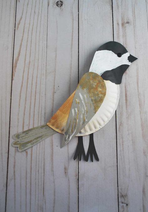 Bird Arts And Crafts, Paper Plate Bird, Bird Accessories, Chickadee Bird, What Is A Bird, Black Capped Chickadee, Bird Crafts, Bird Theme, Plate Crafts